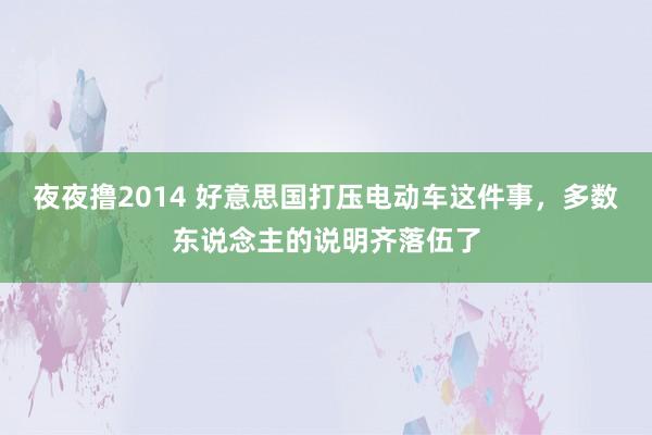 夜夜撸2014 好意思国打压电动车这件事，多数东说念主的说明齐落伍了