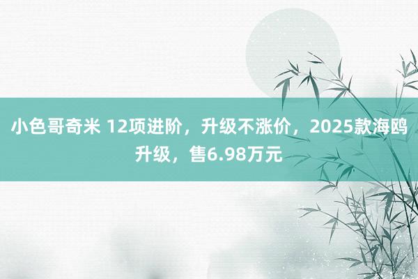 小色哥奇米 12项进阶，升级不涨价，2025款海鸥升级，售6.98万元