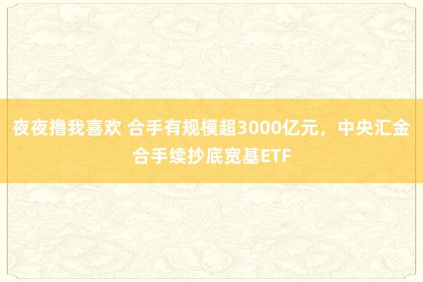 夜夜撸我喜欢 合手有规模超3000亿元，中央汇金合手续抄底宽基ETF