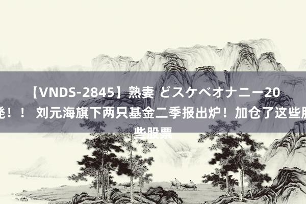 【VNDS-2845】熟妻 どスケベオナニー20連発！！ 刘元海旗下两只基金二季报出炉！加仓了这些股票