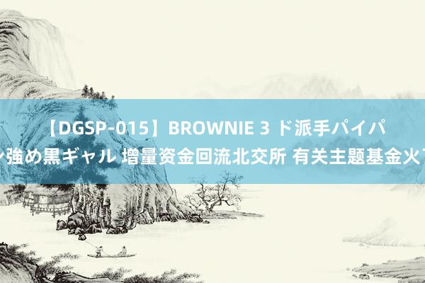 【DGSP-015】BROWNIE 3 ド派手パイパン強め黒ギャル 增量资金回流北交所 有关主题基金火了