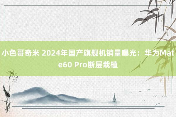 小色哥奇米 2024年国产旗舰机销量曝光：华为Mate60 Pro断层栽植