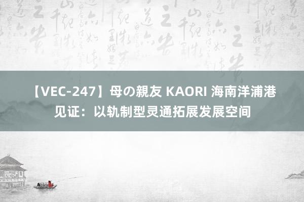 【VEC-247】母の親友 KAORI 海南洋浦港见证：以轨制型灵通拓展发展空间