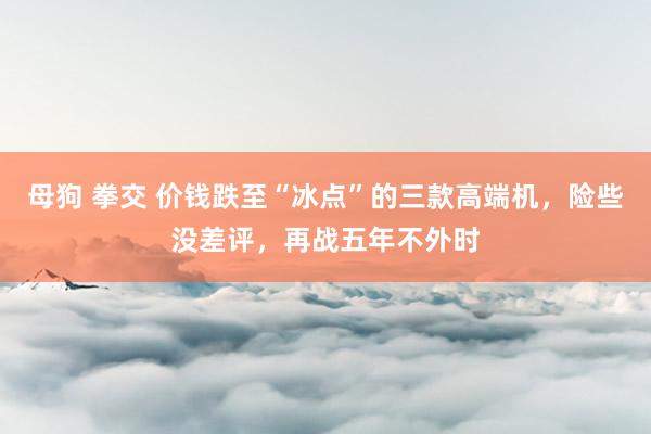 母狗 拳交 价钱跌至“冰点”的三款高端机，险些没差评，再战五年不外时