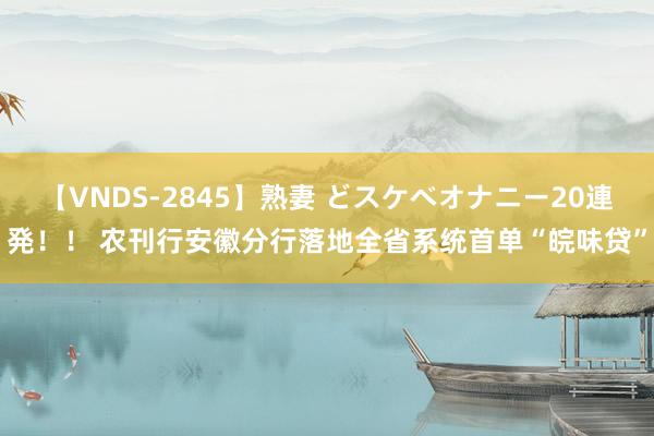 【VNDS-2845】熟妻 どスケベオナニー20連発！！ 农刊行安徽分行落地全省系统首单“皖味贷”