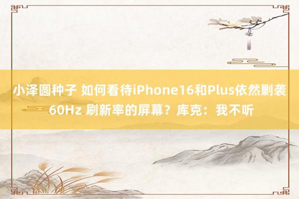 小泽圆种子 如何看待iPhone16和Plus依然剿袭 60Hz 刷新率的屏幕？库克：我不听