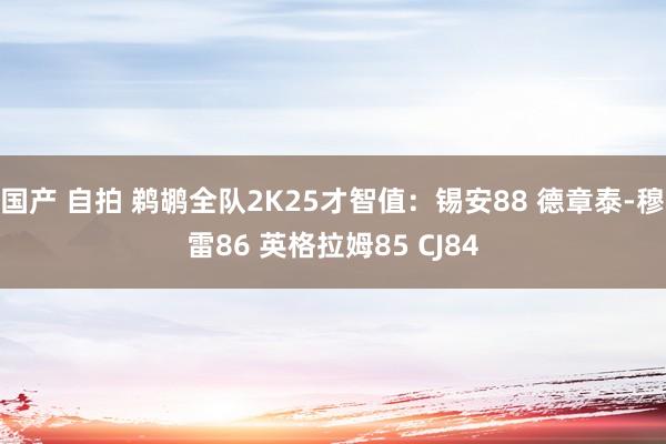 国产 自拍 鹈鹕全队2K25才智值：锡安88 德章泰-穆雷86 英格拉姆85 CJ84