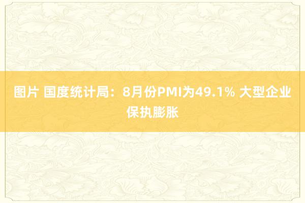 图片 国度统计局：8月份PMI为49.1% 大型企业保执膨胀