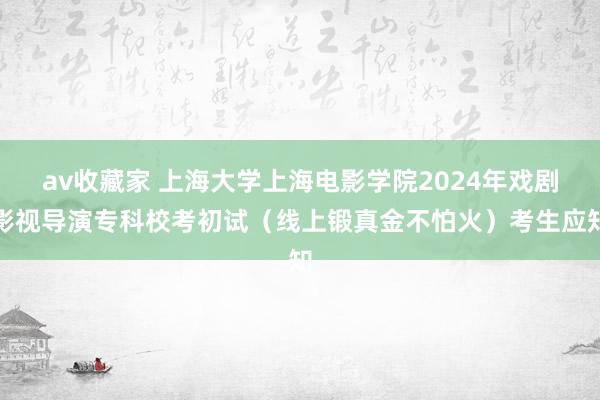 av收藏家 上海大学上海电影学院2024年戏剧影视导演专科校考初试（线上锻真金不怕火）考生应知