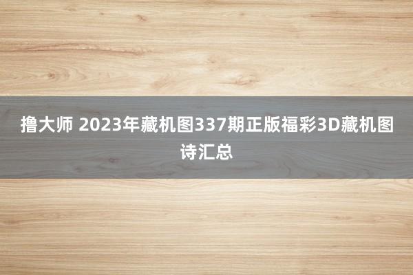 撸大师 2023年藏机图337期正版福彩3D藏机图诗汇总