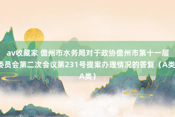 av收藏家 儋州市水务局对于政协儋州市第十一届委员会第二次会议第231号提案办理情况的答复（A类）