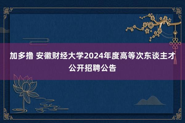 加多撸 安徽财经大学2024年度高等次东谈主才公开招聘公告