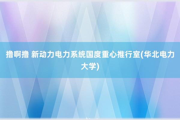 撸啊撸 新动力电力系统国度重心推行室(华北电力大学)