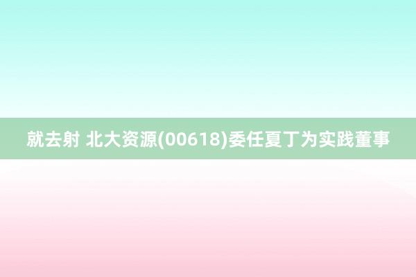 就去射 北大资源(00618)委任夏丁为实践董事